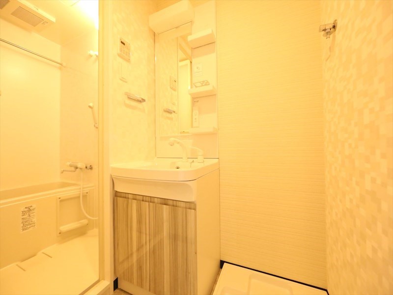 Ｓ－ＲＥＳＩＤＥＮＣＥ金山ＷＥＳＴ 脱衣所　独立洗面台（シャンプードレッサー付）収納スペース有