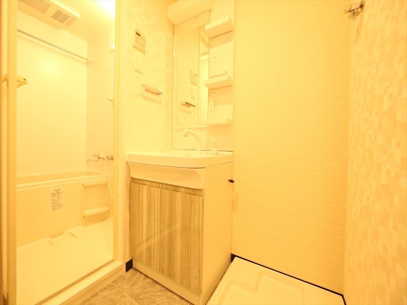 Ｓ－ＲＥＳＩＤＥＮＣＥ金山ＷＥＳＴ 脱衣所　独立洗面台（シャンプードレッサー付）収納スペース有