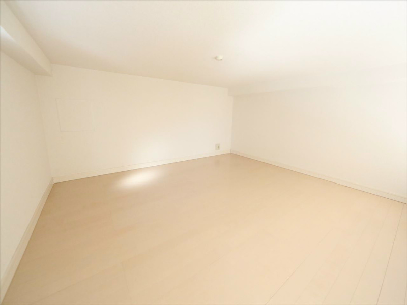 ルーグラン ロフト5帖（収納でもお部屋でも使えます）