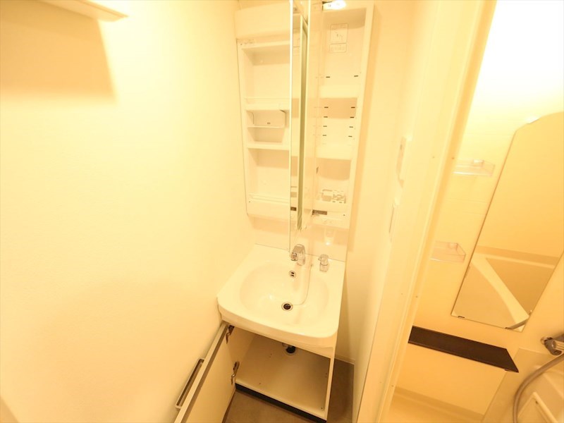ディアレイシャス矢場町 脱衣所　独立洗面台（シャンプードレッサー付）収納スペース有