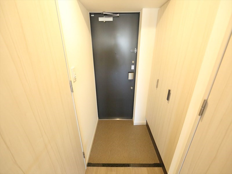 ディアレイシャス矢場町 玄関　シューズボックス付（収納充実してます）