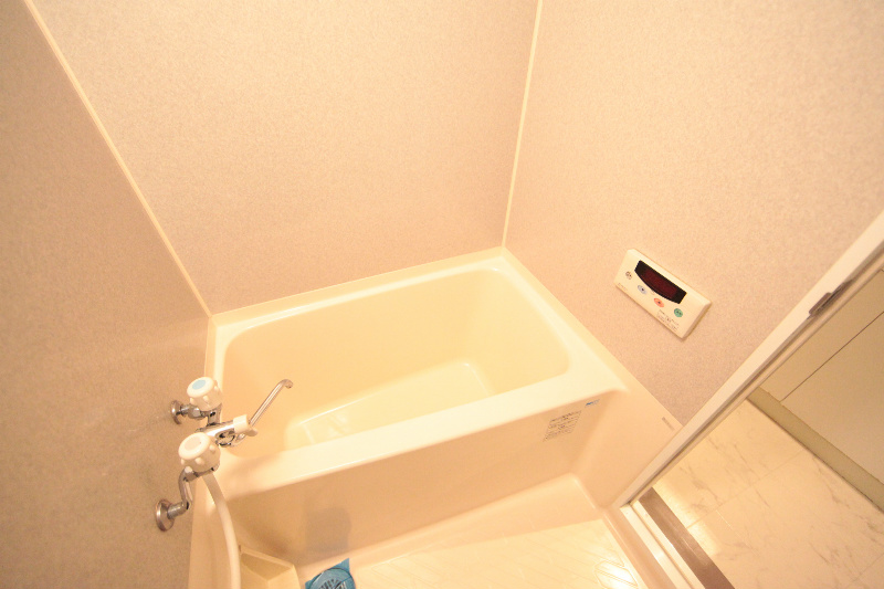 ＡＭＢＥＲ　ＨＯＵＳＥ　ＪＩＮＧＵ（アンバーハウスジングウ） バスルーム　バス・トイレ別