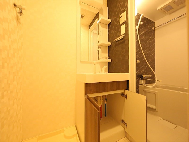 Ｓ－ＲＥＳＩＤＥＮＣＥ金山三丁目 脱衣所　独立洗面台（シャンプードレッサー付）収納スペース有