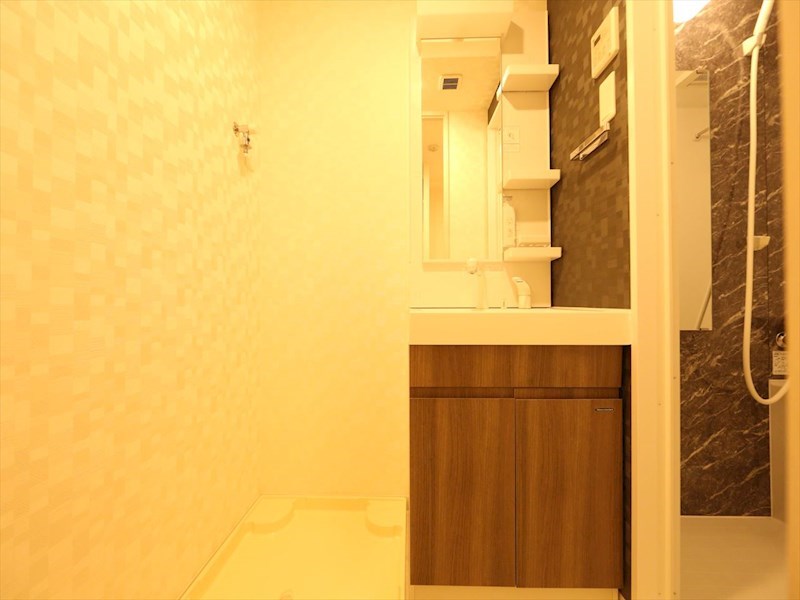 Ｓ－ＲＥＳＩＤＥＮＣＥ金山三丁目 脱衣所　独立洗面台（シャンプードレッサー付）収納スペース有