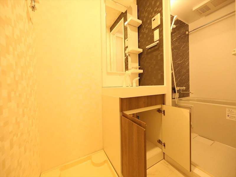 Ｓ－ＲＥＳＩＤＥＮＣＥ金山三丁目 脱衣所　独立洗面台（シャンプードレッサー付）収納スペース有