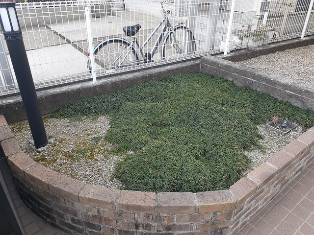 カーサＡＮ（アン） その他