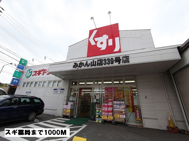 メゾン　サカエ スギ薬局まで1000m