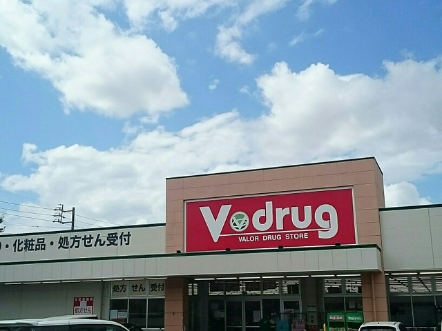 カーサ・セレーナ vdrugまで1110m