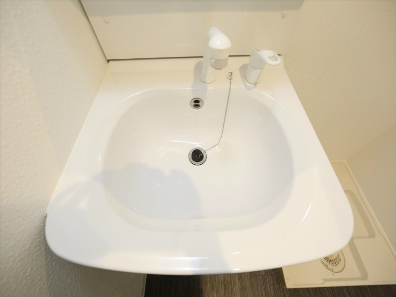 ＯＲＲＩＳささしまライブ（オリスささしまライブ） 脱衣所　シャンプードレッサー　室内洗濯機置き場