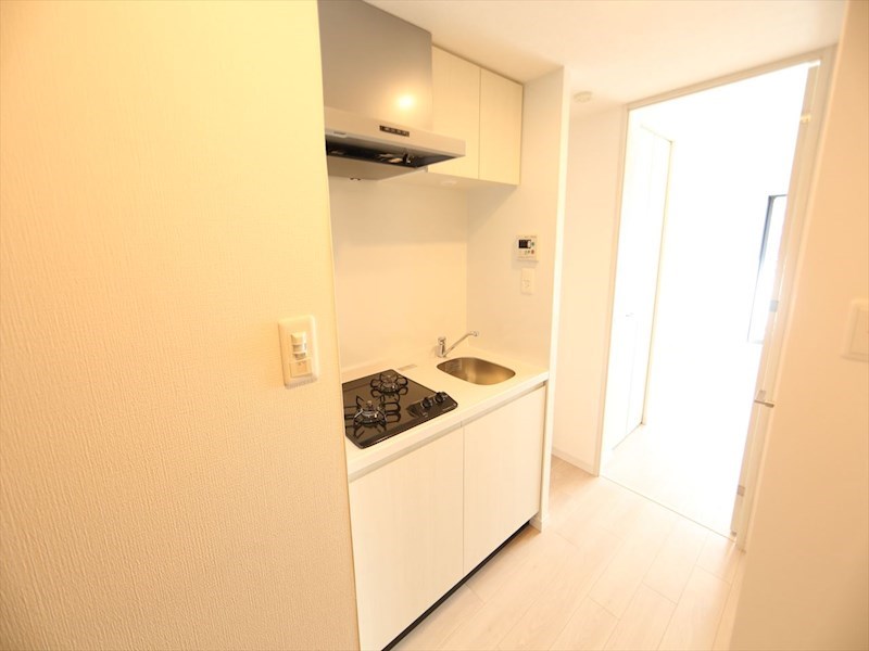 Ｓ－ＲＥＳＩＤＥＮＣＥ上前津Ｓｏｕｔｈ システムキッチン（ガス2口コンロ付）