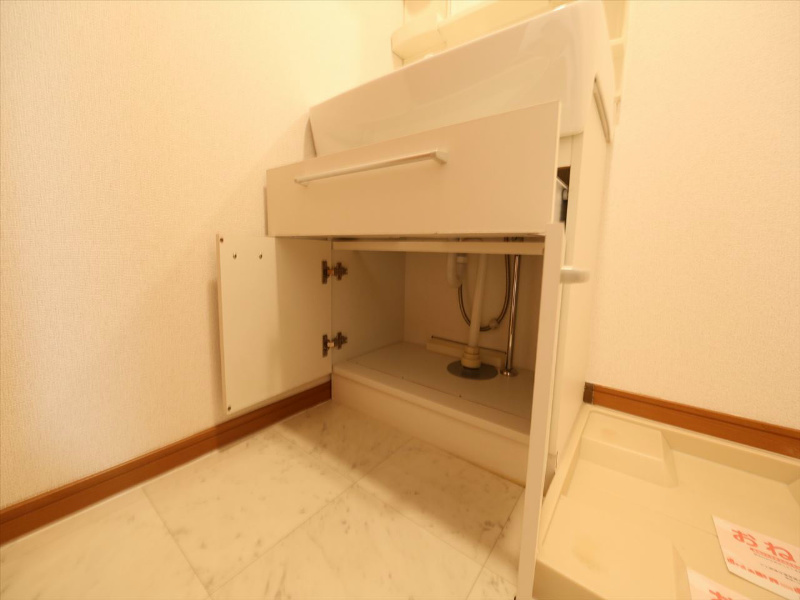 ブリーズ塩池 脱衣所　シャンプードレッサー