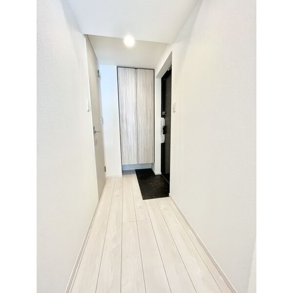 S-RESIDENCE丸の内駅前North 玄関　シューズボックス付（収納充実してます）