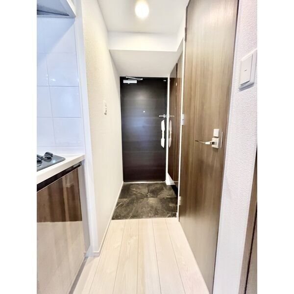 S-RESIDENCE丸の内駅前North 玄関　シューズボックス付（収納充実してます）