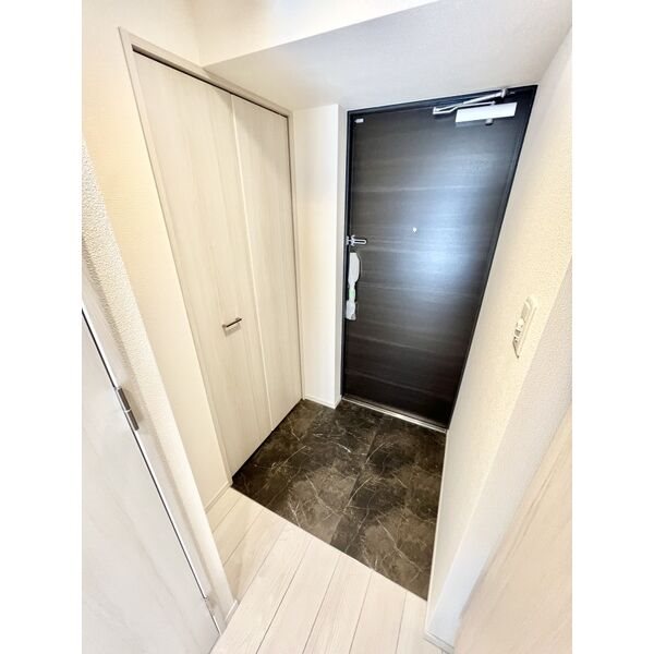 S-RESIDENCE丸の内駅前North 玄関　シューズボックス付（収納充実してます）