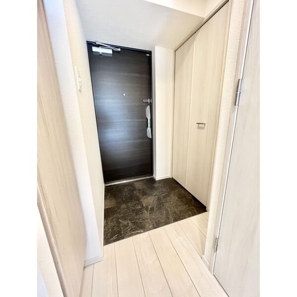 S-RESIDENCE丸の内駅前North 玄関　シューズボックス付（収納充実してます）