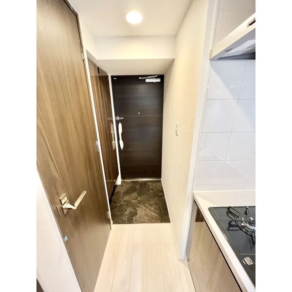 S-RESIDENCE丸の内駅前North 玄関　シューズボックス付（収納充実してます）