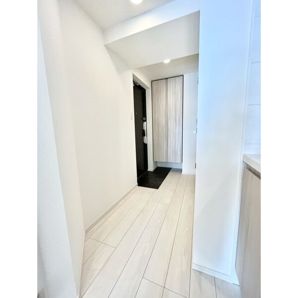 S-RESIDENCE丸の内駅前North 玄関　シューズボックス付（収納充実してます）