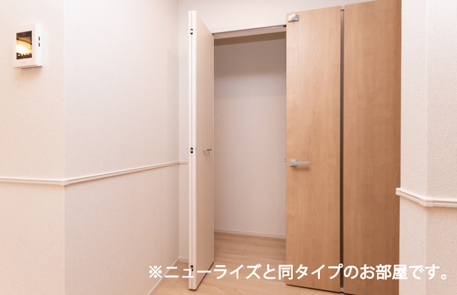 ボルシュクセ 収納