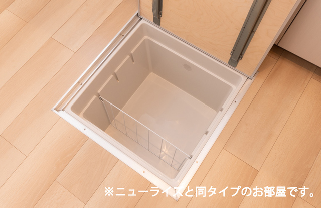 ボルシュクセ その他
