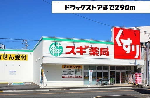 ノアズ　アーク スギ薬局まで290m