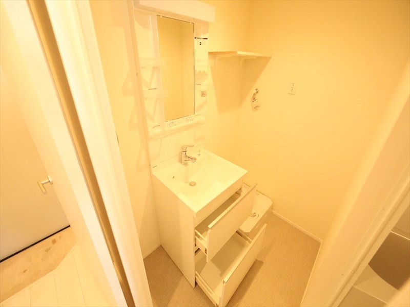 Ｔ－ＲｅｓｉｄｅｎｃｅIII 脱衣所　独立洗面台（シャンプードレッサー付）　同仕様写真