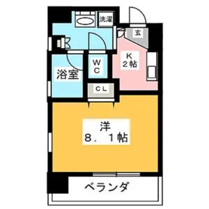 共同ハイツ西大須 間取図　洋室8.1帖　脱衣洗面所　クローゼット付　バルコニー