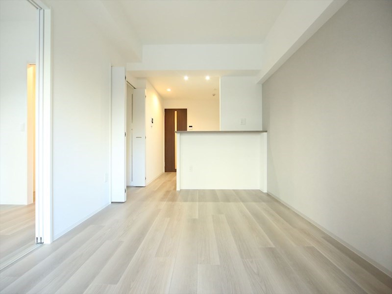 Ｒｅｖｅｌｅｒ Ｏｓｕ ＬＤＫ12.3帖　カウンターキッチン　エアコン完備
