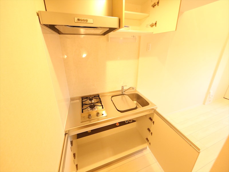 泰心ハイランドパーク システムキッチン（ガス2口コンロ付）　同仕様写真