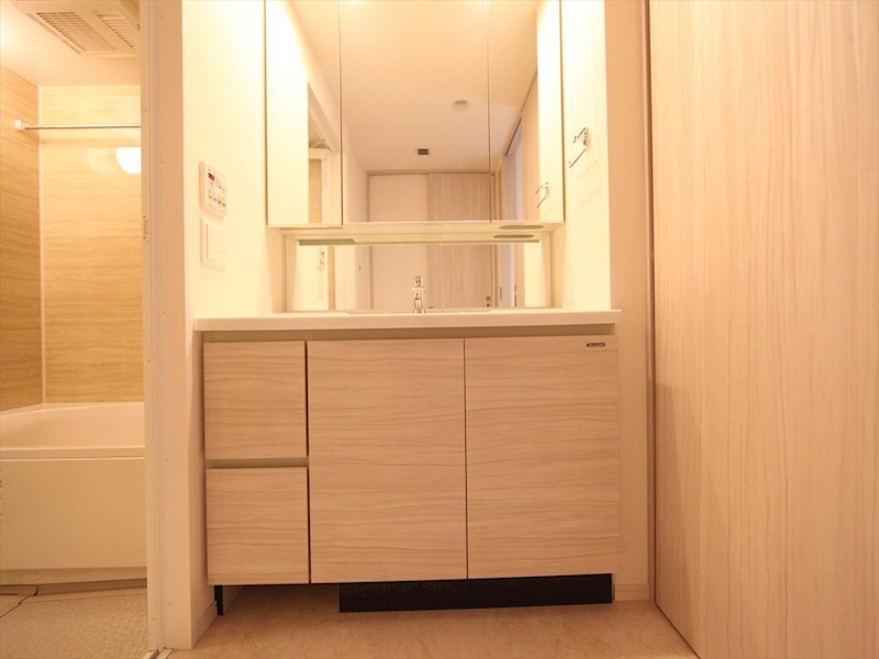 一条タワー金山 脱衣所　三面鏡付洗面化粧台